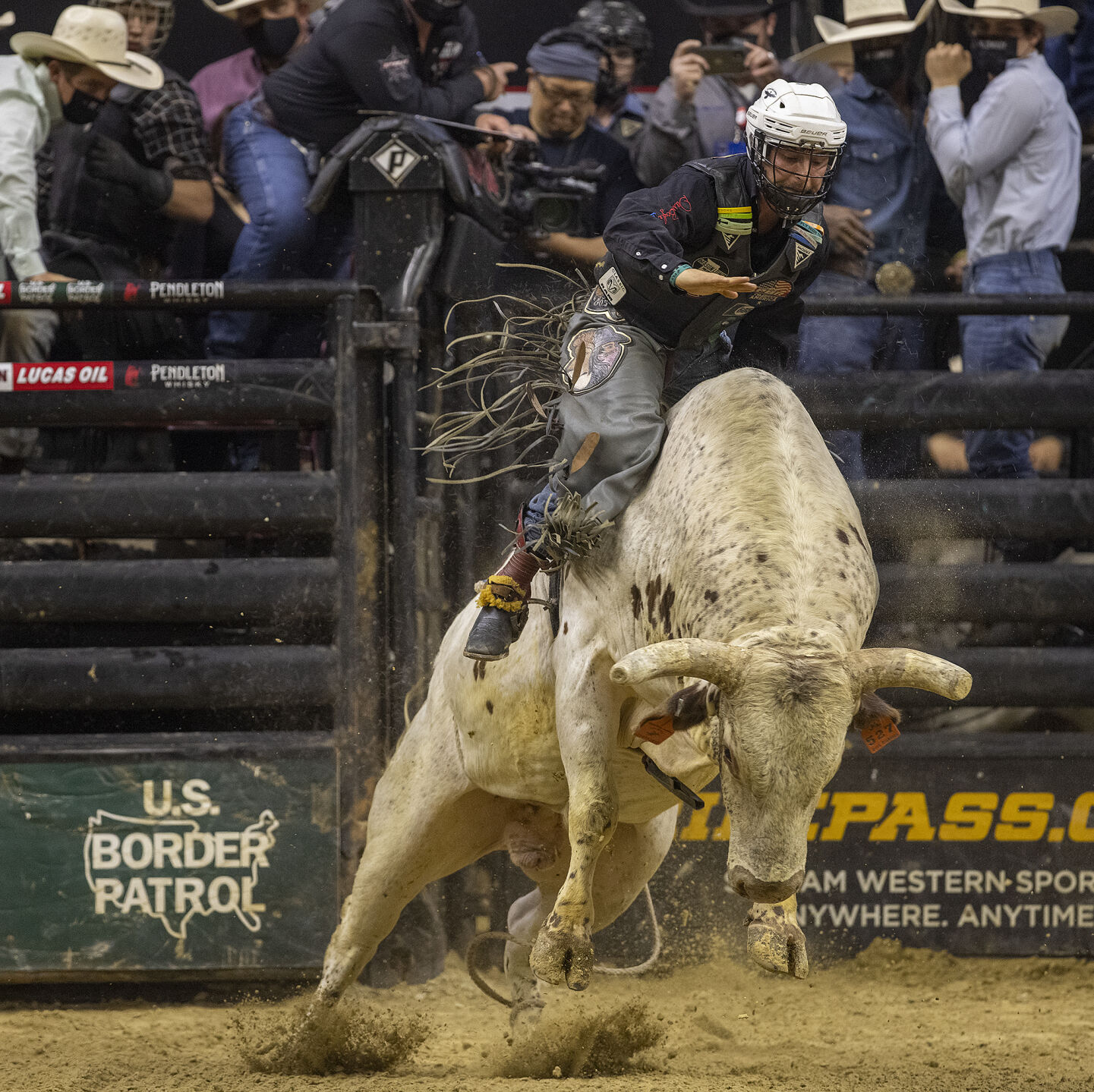 Bull riding